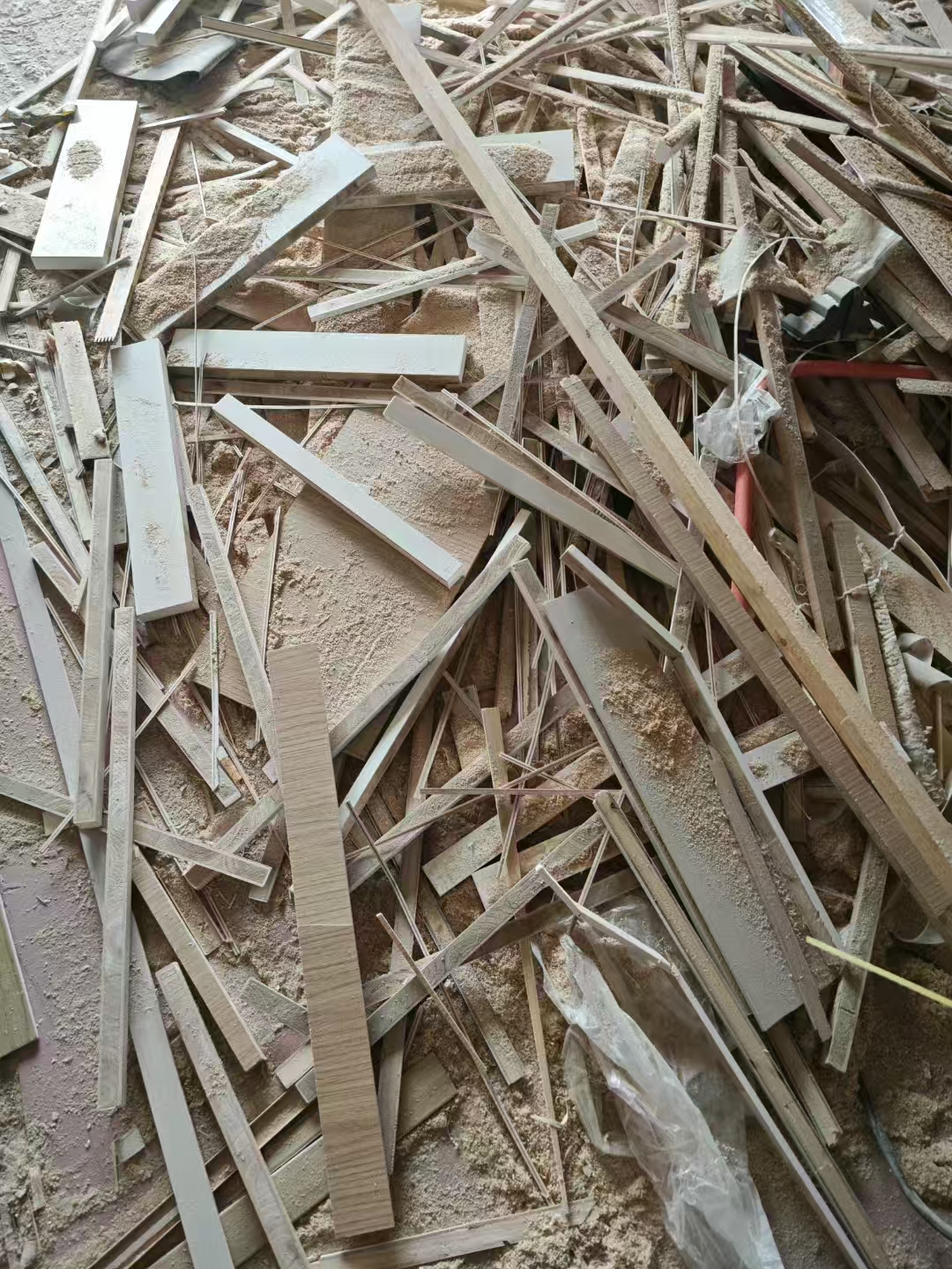 想看到是不是真木頭，請去工地哦